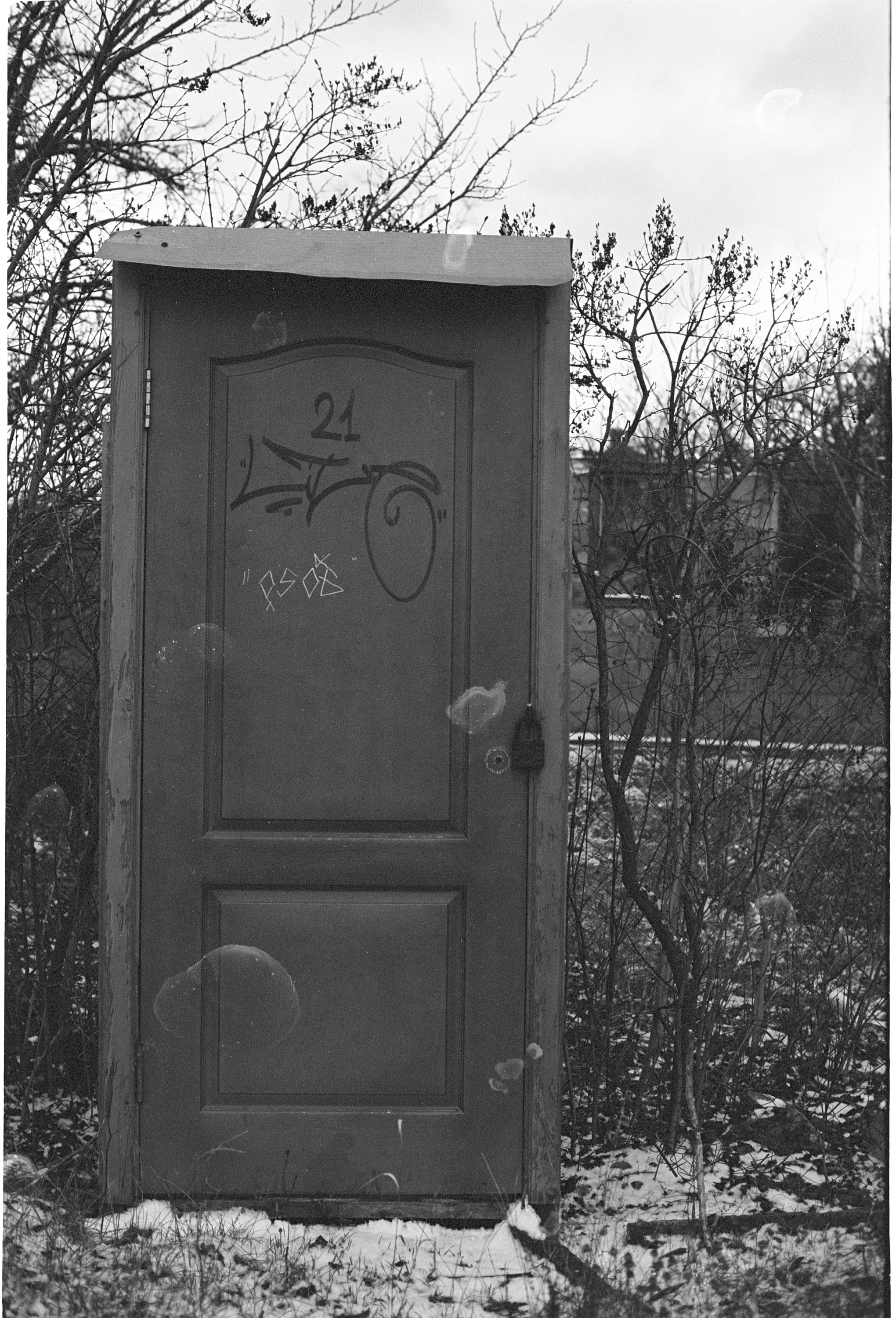A freestanding door among bare trees